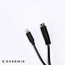 EVERMIX DIN TO LIGHTNING CABLE - Deck Converters