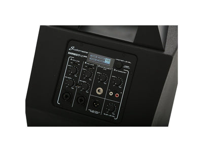 Studiomaster Direct 121MX Portable Column Array System - Deck Converters
